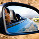 Illustration for article titled I Drove Every Aston Martin